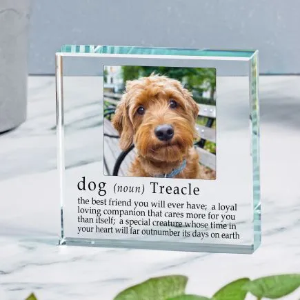 Definition of a Dog Glass Token