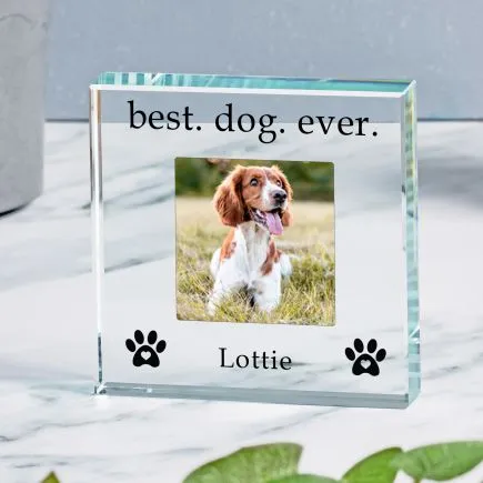 Best Dog Ever Glass Token