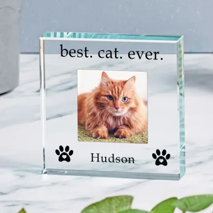 Best Cat Ever Glass Token