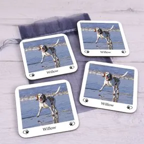 Favourite Pet Photo Upload Set of 4 Coasters