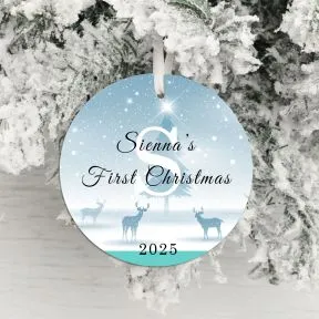 First Christmas Decoration