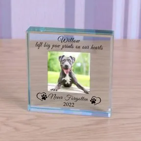 Never Forgotten Pet Memory Glass Token