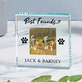 Pet Best Friends Glass Token