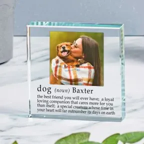 Definition of a Dog Glass Token
