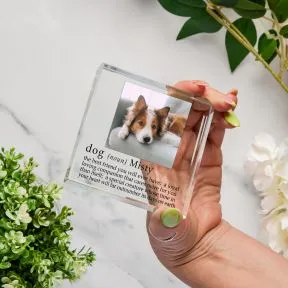 Definition of a Dog Glass Token