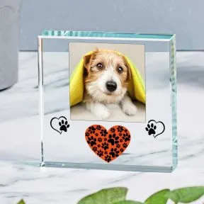 Pet Heart Glass Token