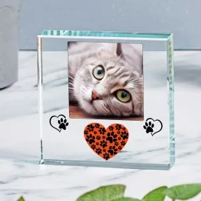 Pet Heart Glass Token
