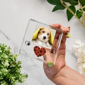 Pet Heart Glass Token
