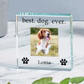 Best Dog Ever Glass Token