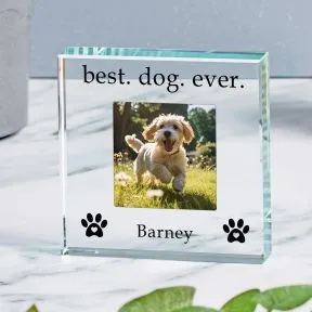 Best Dog Ever Glass Token