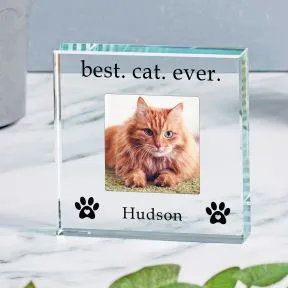 Best Cat Ever Glass Token