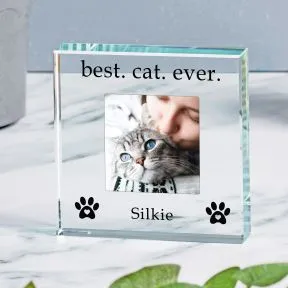 Best Cat Ever Glass Token