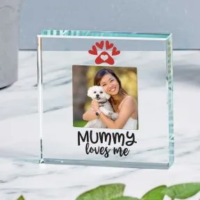 Pet Mummy Loves Me Glass Token