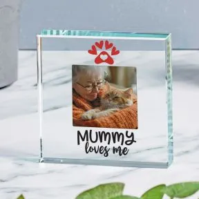 Pet Mummy Loves Me Glass Token