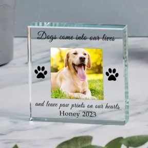 Paw Prints.. Glass Token - Gift Boxed